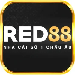 SA88 20 20 1751358198430 slide